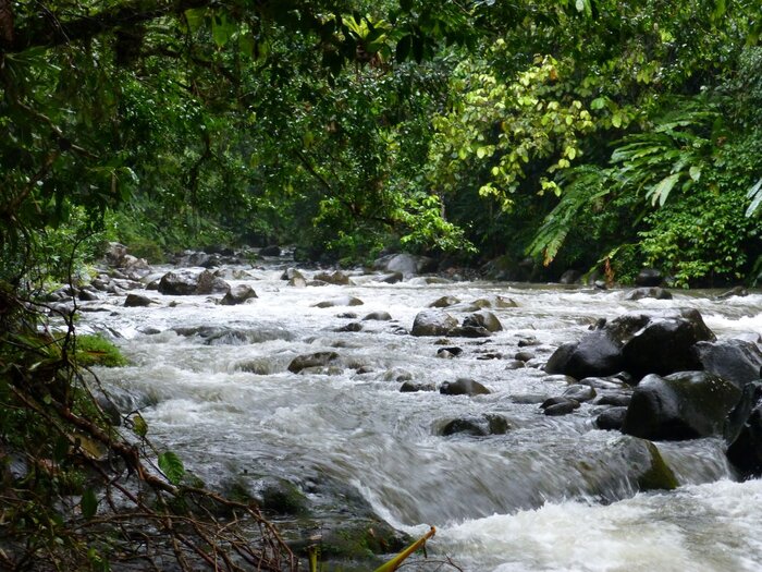 Ein herrlicher Fluss mitten im Urwald; Nationalpark
