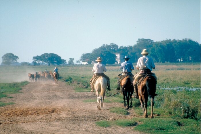 Ausritt mit Viehtrieb auf einer Hacienda