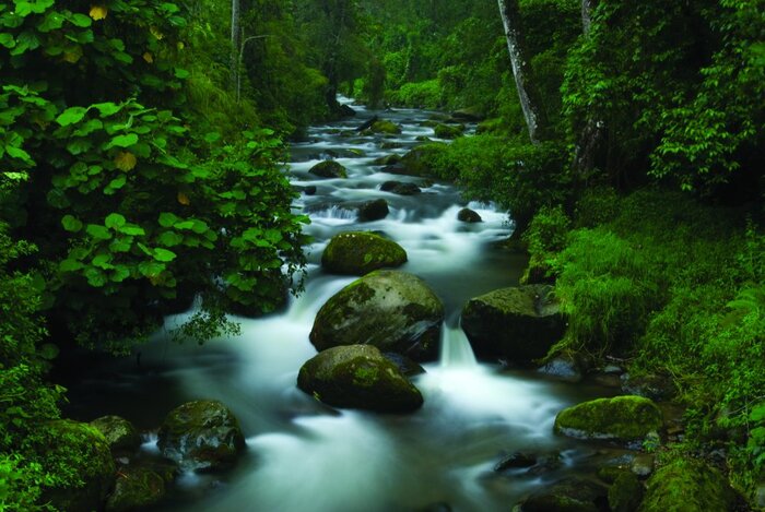 Krater des Vulkans Poas (KE Adventure Travel)