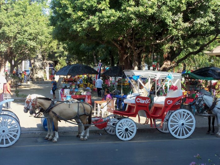 Geschmückte Pferdekutschen - Markenzeichen Granadas