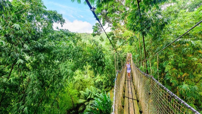 Balata Garden, Martinique
