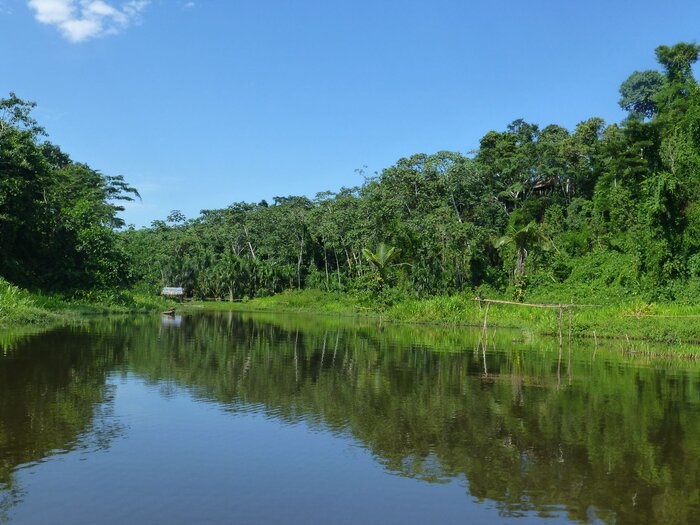 Amazonas