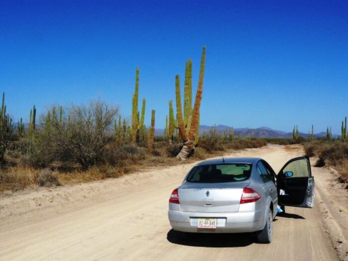 Mit dem Mietwagen durch Baja California