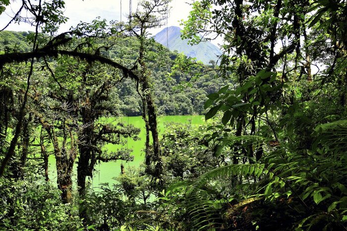 Landschaft am Vulkan Arenal (Willi Tauscher)