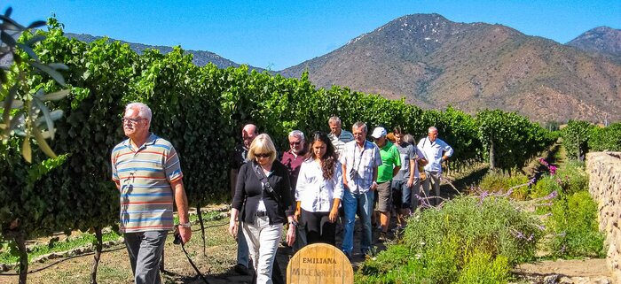Besichtigung eines Weinberges