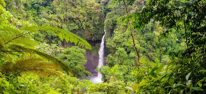 Wasserfall im Regenwald