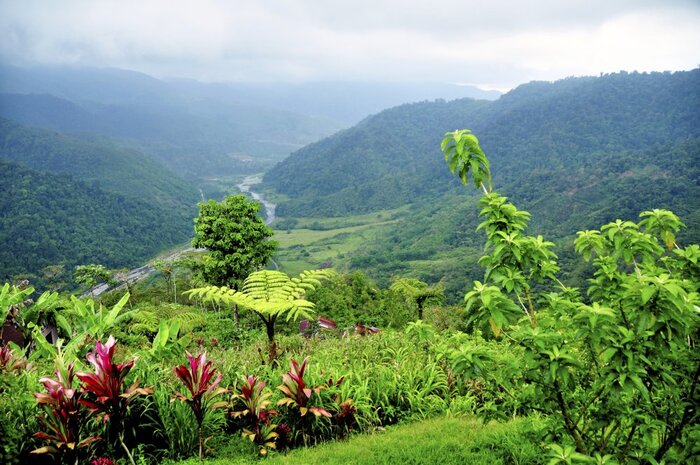  El Copal Ausblick (Tauscher, Willi)