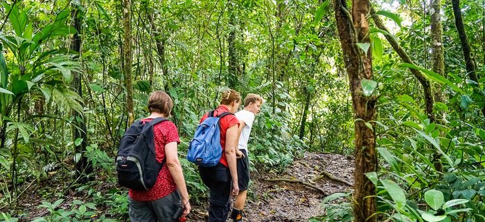Wanderung im Regenwald