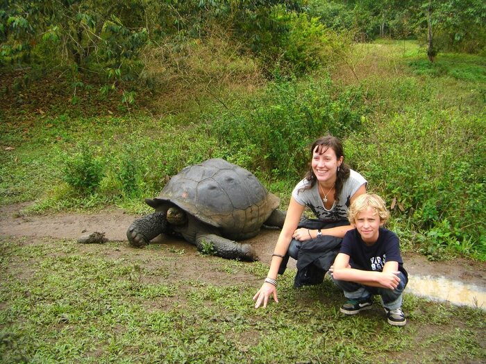Galapagosschildkröte