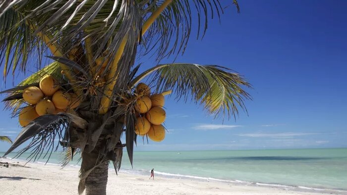 Erholung am Traumstrand