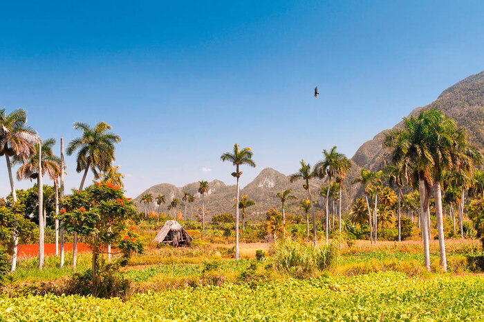 Vinales - Klaus Hoffmann