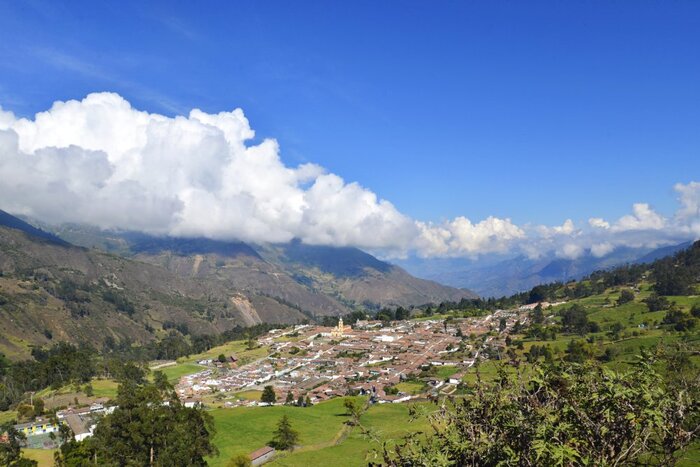 Cocuy (Daniela Eberle)