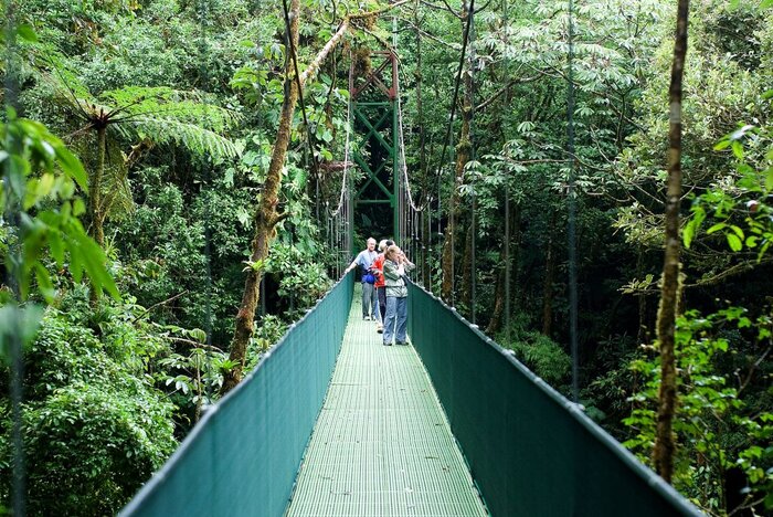 Hängebrücke in Monteverde