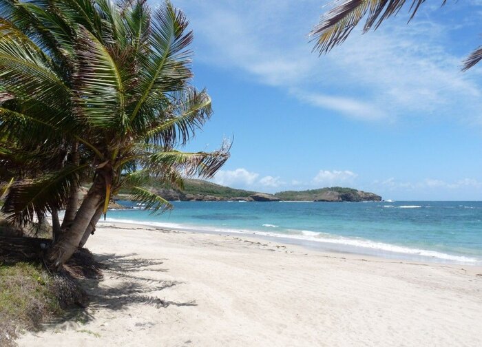 Strand Tobago Cays