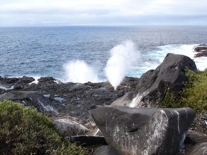 Landschaft auf Galapagos