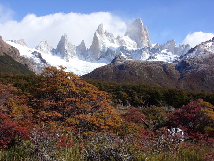 Fitz Roy mit Herbstfärbung