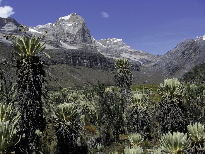 Valle de los Cojines (Editha Trumpp-Münsterer)