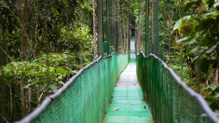 Hängebrücke Monteverde