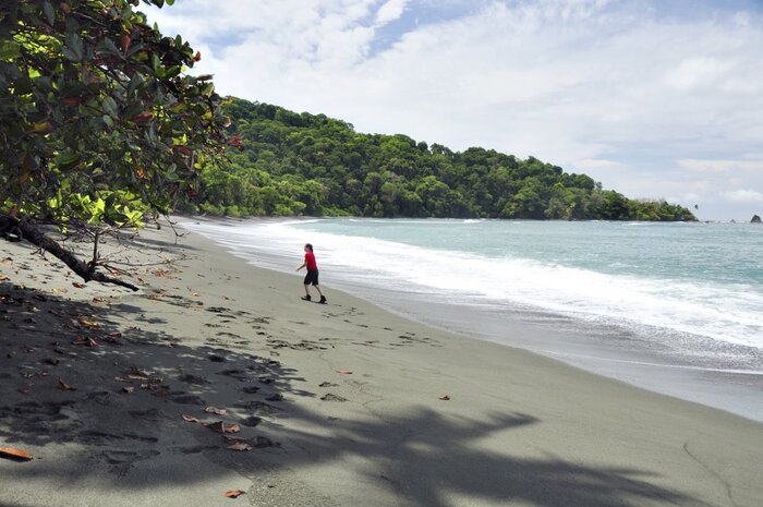 La Sirena Corcovado Strand (Tauscher, Willi)