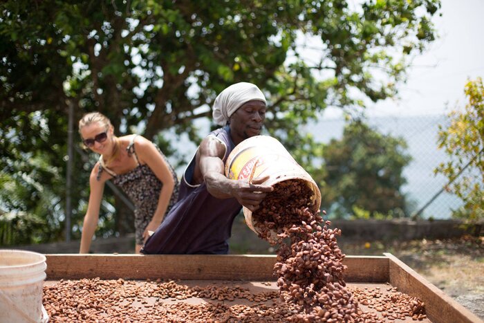 Einblick in die Gewürzernte und Verarbeitung (Grenada Tourism Authority)