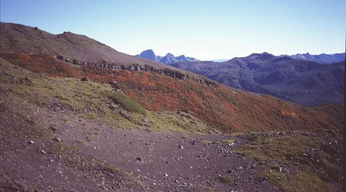 Vulkan Lanín mit Herbstfärbung