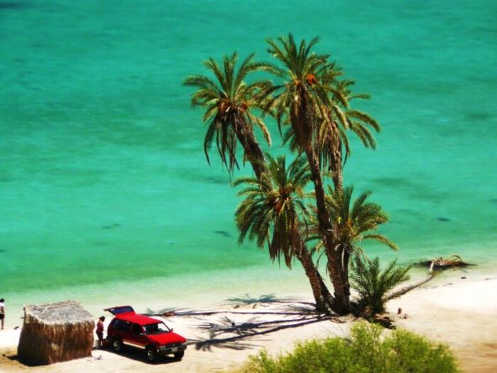 Traumstrand mit Palmen