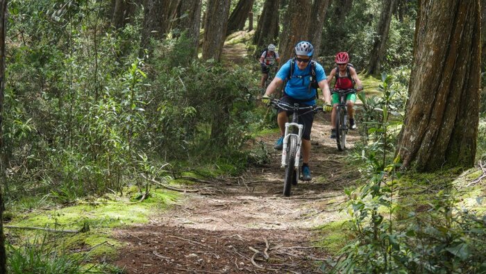 Auf den Bikes durch die Natur Kolumbiens 
 (Wolfgang Neumüller)