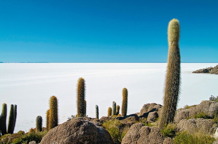 Salzwüste Uyuni