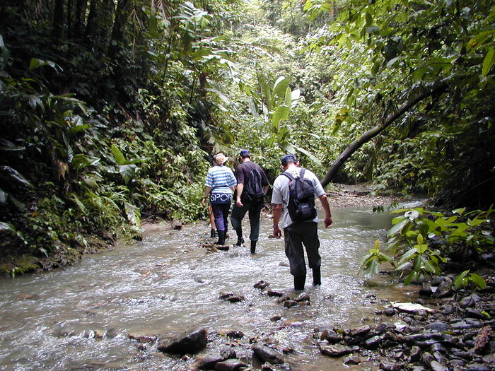 Wanderung durch den Dschungel