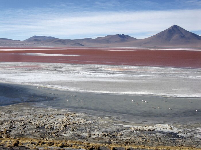 Laguna Colorada